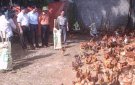 Những cái mới ở vùng nông thôn Triệu Sơn