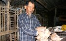 Làm giàu từ đề án xóa nghèo